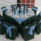 Plants: image 1 0f 4 thumb