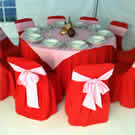 Plants: image 1 0f 4 thumb