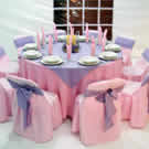 Plants: image 1 0f 4 thumb