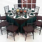 Plants: image 1 0f 4 thumb