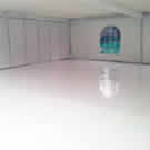 Plants: image 1 0f 4 thumb