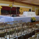 Plants: image 1 0f 4 thumb