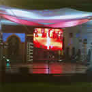 Plants: image 1 0f 4 thumb